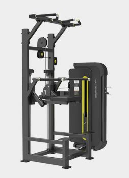 Гравитрон BRONZE GYM BW-3009 ― ФИТНЕСЦЕНТР.ru