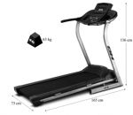 Беговая дорожка BH Fitness F0 G6434