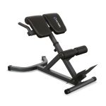 OXYGEN FITNESS TACOMA Гиперэкстензия 