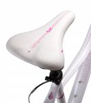 Велосипед SCHWINN MESA WOMAN (2017)