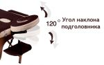 Двухсекционный массажный стол Gess Wellness