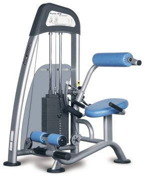 Разгибание спины сидя VERTEX NWS 173 ― ФИТНЕСЦЕНТР.ru