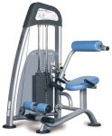 Разгибание спины сидя VERTEX NWS 173