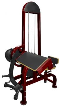ТРЕНАЖЕР PROFIGYM БИЦЕПС-МАШИНА ТГ-0060-CР (рубин) ― ФИТНЕСЦЕНТР.ru