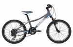Велосипед Giant XTC JR 20 (2015)