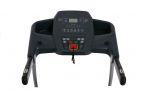Беговая дорожка электрическая Royal Fitness RF-2 (F-53)