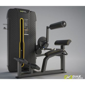 РАЗГИБАНИЕ СПИНЫ (BACK EXTENSION). СТЕК 109 КГ. DHZ E-4031A ― ФИТНЕСЦЕНТР.ru