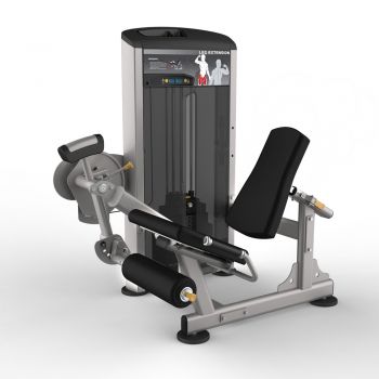 Разгибание ног AeroFIT IE9505 ― ФИТНЕСЦЕНТР.ru