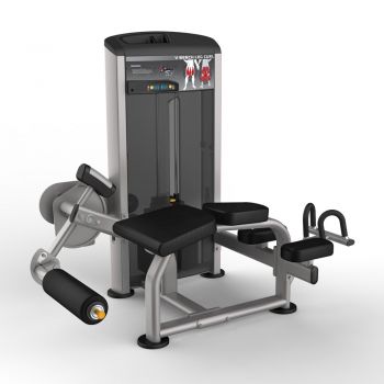 Сгибание ног лежа AeroFIT IE9521 ― ФИТНЕСЦЕНТР.ru