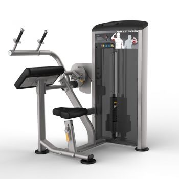 Трицепс/Разгибание рук AeroFIT IE9523 ― ФИТНЕСЦЕНТР.ru