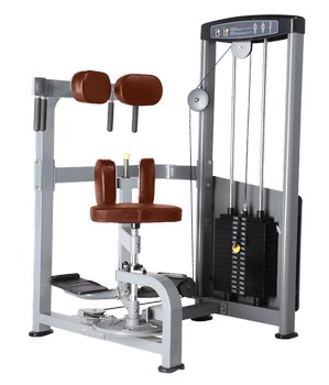 BRONZE GYM D-011 Торс-машина (ЧЕРНЫЙ) ― ФИТНЕСЦЕНТР.ru