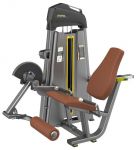 РАЗГИБАНИЕ НОГ СИДЯ (LEG EXTENSION). СТЕК 135 КГ. DHZ E-1002В