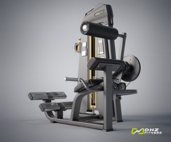 ПРЕСС МАШИНА/РАЗГИБАНИЕ СПИНЫ (ABDOMINAL/BACK EXTENSION). СТЕК 94 КГ. DHZ E-1074B ― ФИТНЕСЦЕНТР.ru