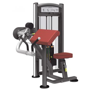 Бицепс AeroFIT IT9303 ― ФИТНЕСЦЕНТР.ru