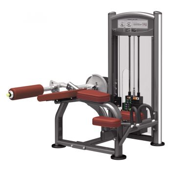 Сгибание ног лежа AeroFIT IT9321 ― ФИТНЕСЦЕНТР.ru