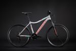 Велосипед SILVERBACK STRIDE 26 SLD (2019)